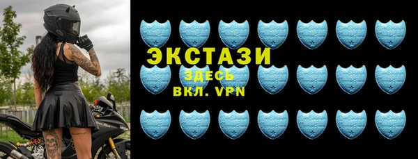 шишки Белая Холуница