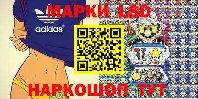 прущие грибы Бийск