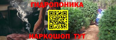 твердый Берёзовский