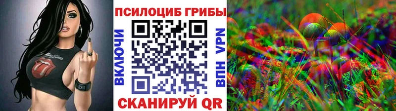 где можно купить наркотик  Йошкар-Ола  Псилоцибиновые грибы прущие грибы 