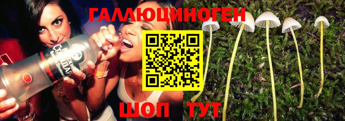 Галлюциногенные грибы мицелий  Йошкар-Ола 