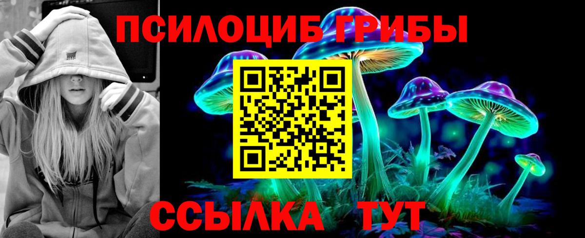 Йошкар-Ола  наркотики  Вход с VPN  Галлюциногенные грибы прущие грибы  Псилоцибиновые грибы Psilocybine cubensis 